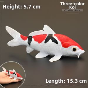 MENGSILE | Realistic Marine Animal Model Toy Ornament