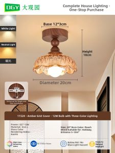 DGY | Retro Simple Corridor Ceiling Light