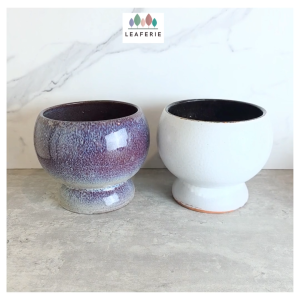 The Leaferie Olea plant pots Ceramic flowerpot flowerpots flower pot planter