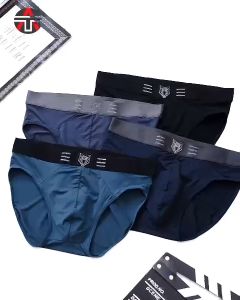 Combo Hộp 4 Quần Lót Nam Thun Tam Giác An Thắng Quần Sịp Nam Chéo Chất liệu Thun Lạnh Thoáng Mát Co Dãn 4 Chiều.