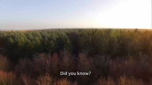 Fish Oil 3600 mg Rich in Omega-3 Fatty Acids EPA & DHA for Heart & Brain Support