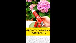 Growth Vitamins for Plants: Nutrient Supplement & Rooting Hormone