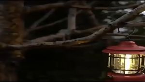 MLXG Camping Light Lantern with Durable Design and USB Charging for Travel and Hiking Adventures