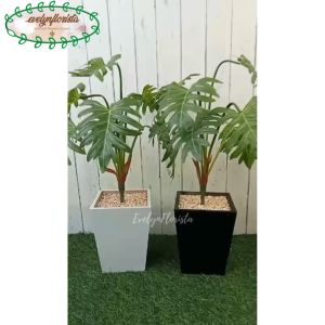 Pohon Artificial Daun Jari Philo X7 Latex Pot Kayu Kotak Hitam & Putih Dekorasi Ruang Studio Aesthetic