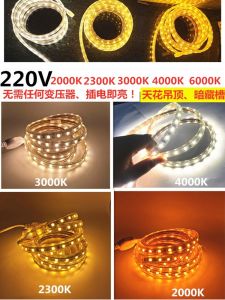220v2000k2300k2700k3000k4000k6000k5050led Light Bar Outdoor Waterproof LED Light Strip