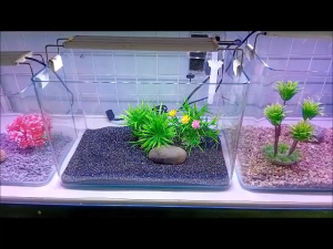 Bể cá đúc 35x21x23 cm mini để bàn