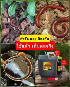 🌿ฉีกวงจรแมลง! น้ำหมักสมุนไพร 300ml จำนวน 1 ขวด เพลี้ยไฟ–เพลี้ยแป้งหายวับ ของเเท้เห็นผลจริง