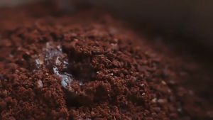 Electrolux เครื่องชงกาแฟและเครื่องชงชา รุ่น CM1001B ความจุ 0.65 ลิตร ชงได้ครั้งละ 6 ถ้วย