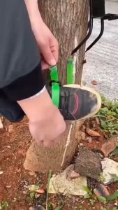 ที่ปีนต้นไม้ อุปกรณ์ปีนต้นไม้ รองเท้าเหล็กปีนต้นไม้ที่ปลอดภัย กรงเล็บแมว อุปกรณ์ปีนต้นไม้ Tree Climbing ปีนต้นไม้ ต้นไม้