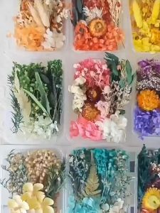 ดอกไม้แห้งจัดเซ็ต เซตดอกไม้ในกล่องสำหรับงานประดิษฐ์ งาน DIY พร็อพถ่ายรูป