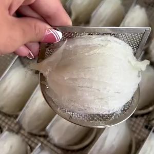 Tổ Yến Tinh Chế Sợi Dài Hộp 1 Tổ Dùng Thử Tặng kèm gia vị đường phèn và táo đỏ - Yến Sào Khánh Hòa DEWIS NEST