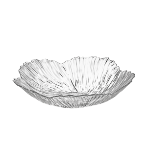 YINXIANG80YIGUAN | Elegant Display Dish for Home Use