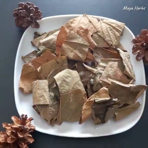 Daun Alpukat Kering 250 gram / Daun Alpukat Kering 100 gram 100% Organik