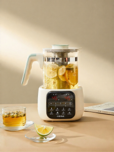 [China Plug Without Adapter] CAROTE | Multi-functional Thermostatic Health Pot Tea Pot
