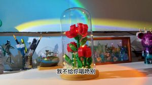 ⚠️现货⚠️ReadyStocks Valentines Day Rose Flower blocks toys 智鹰 情人节 玫瑰花 微型 钻石 小颗粒 积木 新品2699