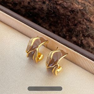 Irregular Drop Glaze Earrings Womens Fashion Sensation Coffee Color C Type Luxury Feelings Ear Jewelry Geometric Pattern