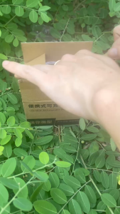 พกพา ออกซิเจนตู้ปลา ใช้งานต่อเนื่อง 30 ชั่วโมง ออกซิเจนปลา หัวชาจต์ USB ปั้มออกซิเจนตู้ปลา ปั้มลมขนาดเล็ก อุดมด้วยออกซิเจน