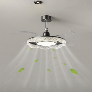 Invisible Luxury Ceiling Fan Light