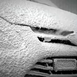 5/12PCS Car Detailing Brushes Set: Interior Cleaning & Car Grooming