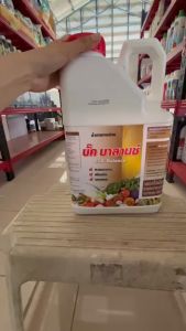 ปุ๋ยน้ำ #น้ำตาลทางด่วน (บั๊คบาลานซ์) เข้มข้น 5 ลิตร แตกตาใบตาดอก เพิ่มพลังงานพืช บำรุงดอก #แอลเจอะโกร