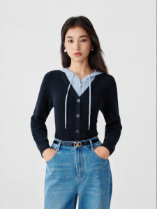 Koradior | Relaxed Collegiate Style Hooded Wool Knit 2025 Winter