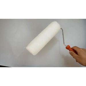 Cây Lăn Sơn Tường (Loại Tốt)- Gồm Đa Dạng Kích Cỡ-NIEVE