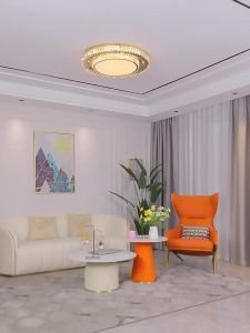 LAIDENG | Luxury Modern Round Light Fixture