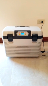 COD Constant Temperature Car Refrigerator - 10L  12L 19L (Semen Incubator)
