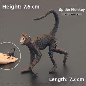 MENGSILE | Childrens Simulation Animal Model Primate Educational Gift