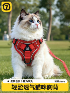 Adjustable Cat Leash Vest Style Anti-Escape Pet Outing Harness Dog Walking Rope Cat Control Gear Comfortable Breathable Reflective