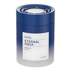 GUOQI | Long-lasting Deodorizing High-end Car Fragrance Solid Perfume