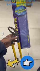 Kìm mỏ quạ cao cấp ngàm kẹp đặc biệt 12 inch BH-412 BLACK HAND