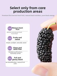 QILIXIANG | Top-grade Seedless Dried Black Mulberry 500g