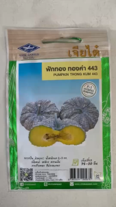 เจียไต๋ ฟักทอง ทองคำ443 หมดอายุ 12/2569 จำนวน 10 เมล็ด/ซอง ลายข้าวตอก น้ำหนักผล 2-3 กิโลกรัม เนื้อหนา รสชาติเหนียว นุ่ม หวาน มัน อร่อย npkplant