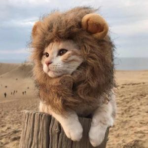 Cute Lion Mane Cat Wig Pet Small Dog Cats Costume Lion Mane Wig Cap Hat for Cat Dogs Costume Cosplay Toy Pet Supplies