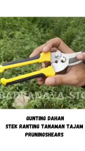 Premium Quality Yellow Gunting Dahan Stek Ranting Tanaman Tajam pruningshears