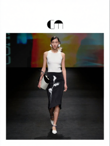 Fashion Ruffle Print Women Skirt
