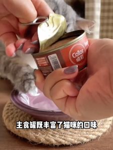 Cator Complete and Balanced Canned Staple Food Cat Wet Food 喵彩全价主食罐猫罐头