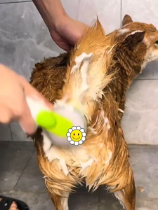 สัตว์เลี้ยง แปรงอาบน้ำแปรงอาบน้ำสุนัข อาบน้ำแมว ซิลิโคนอ่อน เจลอาบน้ำสามารถเทลงในแปรงได้