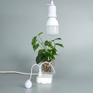 Dây Đèn Liền Đui E27 Công Tắc Bật/Tắt – Dây Dài 3M 5M 10M Dẫn Điện Ổn Định Bền Bỉ