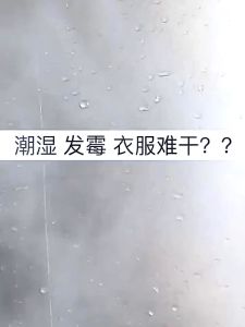 3 x 500ml [3PCS PER PACK] MEI J Neutral Dehumidifier Charcoal Moisture Absorber Calcium Chloride Purification