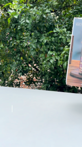 Hũ Thủy Tinh Vuông Trong Suốt Có Nắp Đựng Ngũ Cốc Hạt Khô Gia Vị 1400ML (DMFG-1400C)