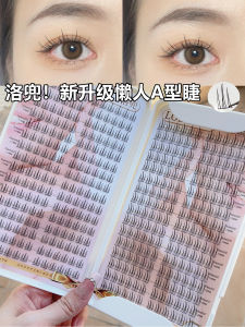 LoDo LoDo Eyelash Book Fake Eyelashes Female Natural Simulation Large Capacity a Type Bean Bag Trilogy Segment Eyelash