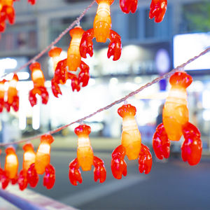 Creative Lemon Slice Decorative Lights Beer Bottle Room Bedroom Colorful Flashing String Lights Star Internet Red Light Stall Pushcart