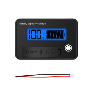 Aideepen | DC8-30V Battery Capacity Indicator Lead-Acid/Lron-Lithium/Ternary Lithium Measurement with USB3.0 and Tpye-C for Car Motorcycle