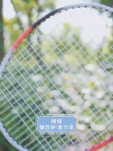 Bộ 2 cây vợt cầu lông vợt cầu lông giá rẻ bộ cầu lông hợp kim phù hợp mọi lứa tuổi vợt cầu lông thể thao sport cầu lông bộ vợt đánh cầu thể thao