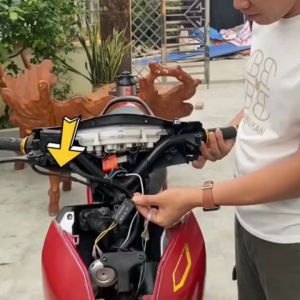 Bộ nhại còi kèn DC 12v điều chỉnh tốc độ nhại