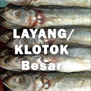 LAYANG / KLOTOK / BENGGOL BESAR ASIN PREMIUM TERMURAH 100/250/500 gram