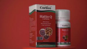 Corlive Hatto Q Capsule (500mg x 30 vege capsules)