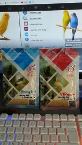 combo 10 gói cám hút mật lê thịnh vip